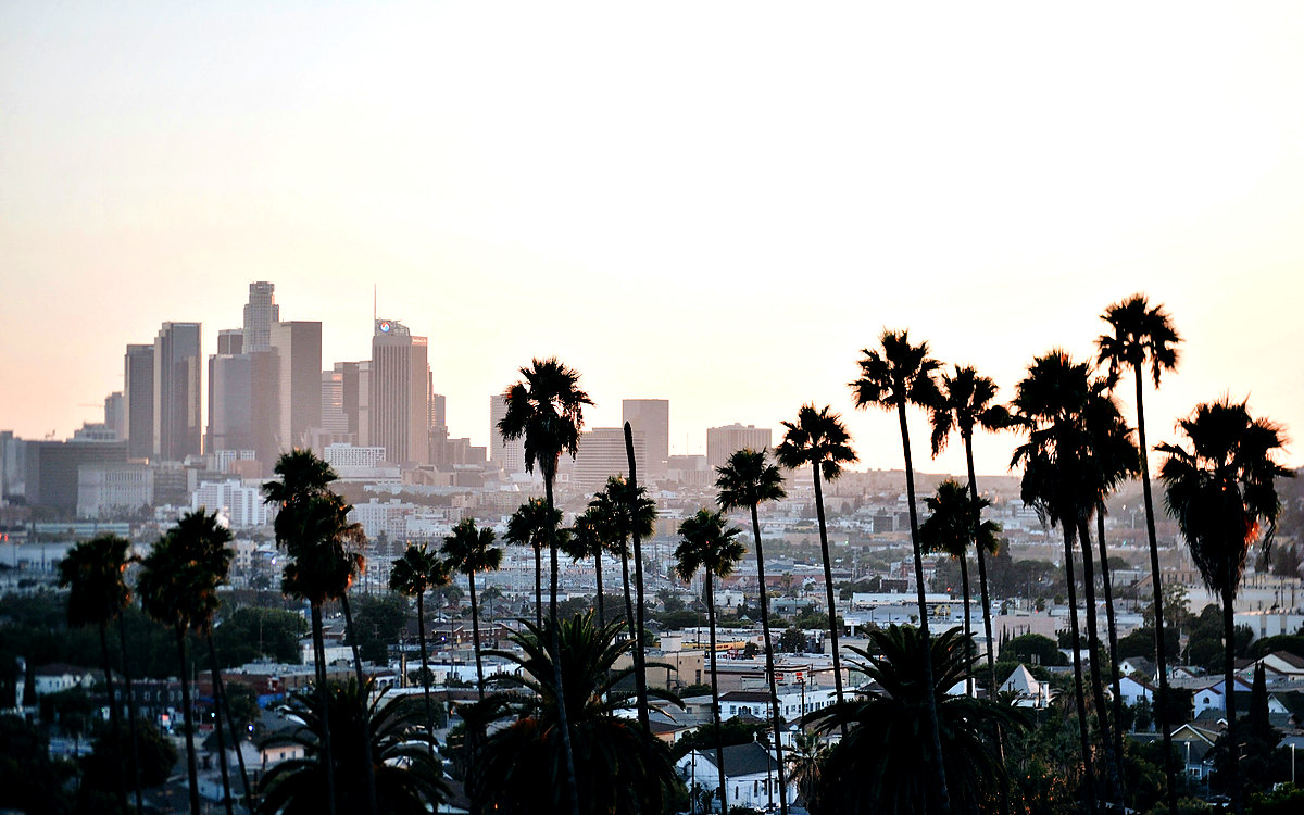 Downtown Los Angeles skyline behind rows of palm trees