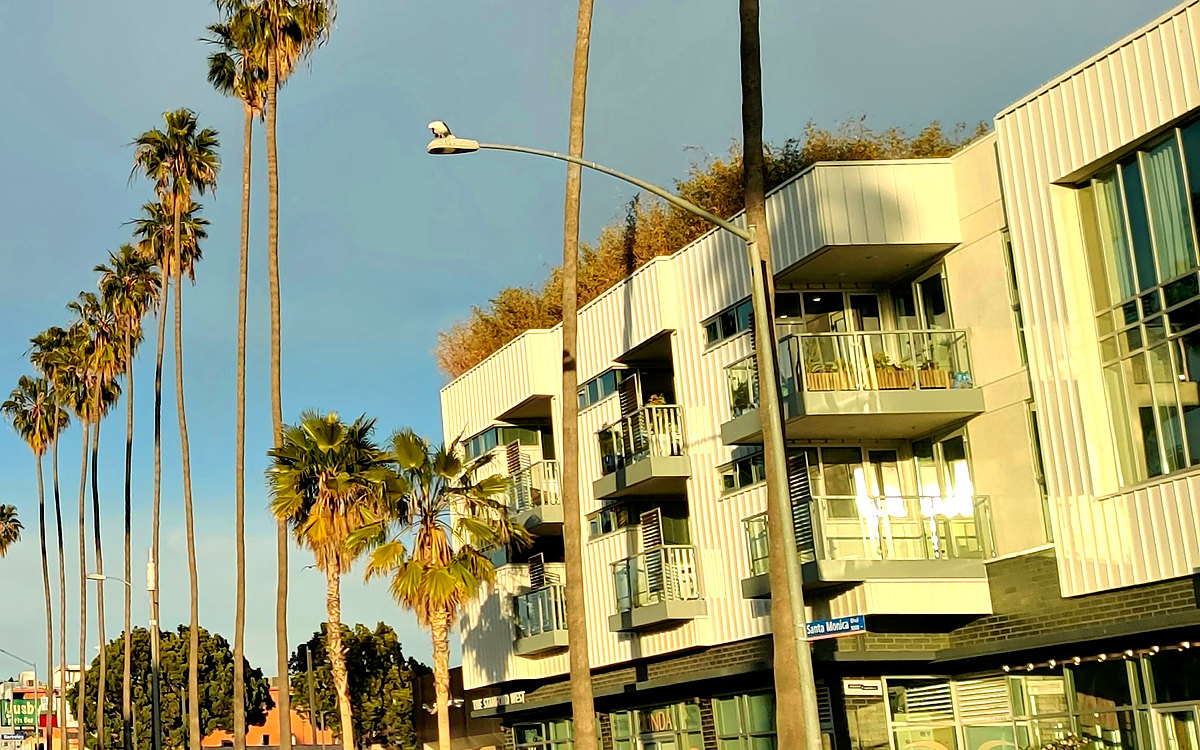Mixed-use building with ground-floor retail on a palm-lined California street