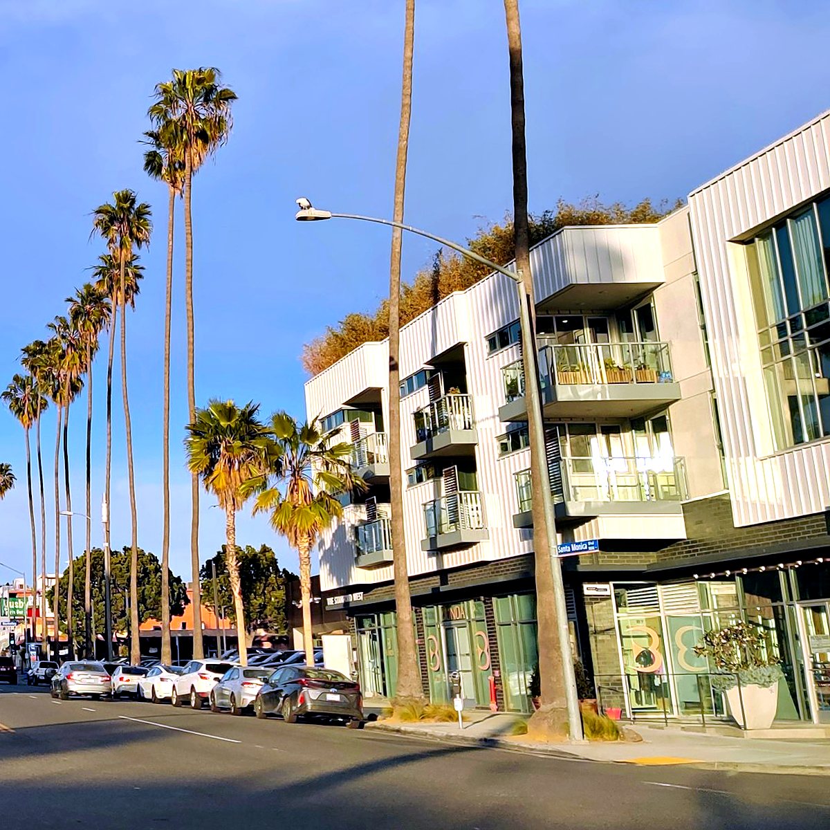 Mixed-use building with ground-floor retail on a palm-lined California street